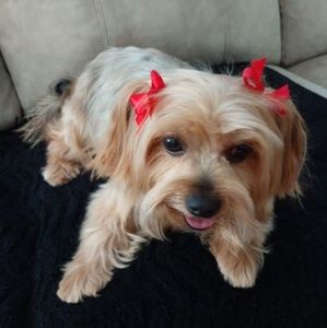 Meet your Posher, Cindy